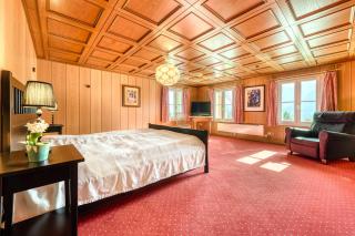 Berghaus Tschengla by A-Appartments - Bürserberg - 2