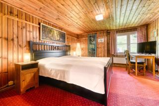 Berghaus Tschengla by A-Appartments - Bürserberg - 2