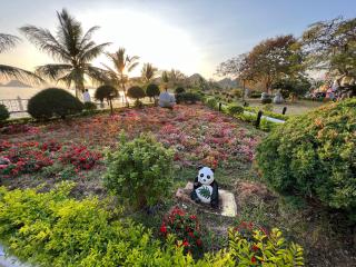 Huong Cang Sea View Hotel - Cat Ba - 4