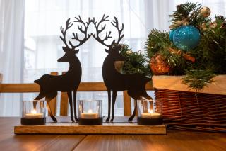 Къщи за гости Сноуфлейк Snowflake Chalet and Snowflake Lodge - 1