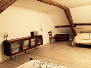 Charmante maison idéale pour weekend entre amis - Selles-Saint-Denis - 8