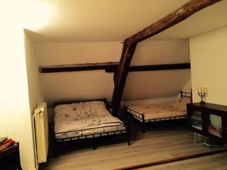 Charmante maison idéale pour weekend entre amis - Selles-Saint-Denis - 6