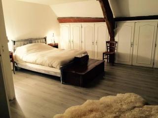 Charmante maison idéale pour weekend entre amis - Selles-Saint-Denis - 5