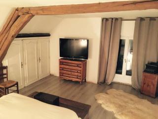 Charmante maison idéale pour weekend entre amis - Selles-Saint-Denis - 2