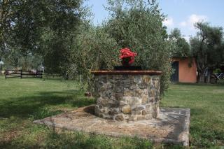 Al Casolare - Tuoro sul Trasimeno - 3