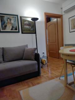 SRNA APARTMAN - Vrnjačka Banja - 8