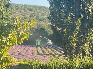 Gîte Le Tramontane Meublé de tourisme 4 étoiles Le Moulin de Prédelles - Reillanne - 0