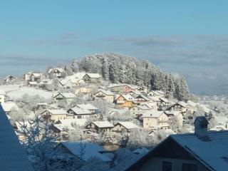 apartmaji LEJARDIN - Škofljica - 6