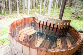Vila Triglav on Pokljuka - Goreljek - 5