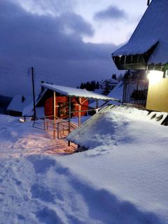 Apartmani Miletic Kopaonik - Kopaonik - 8