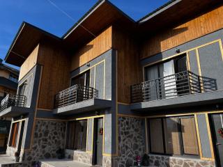 3 Cottage Near The Forest - Bakuriani - 3