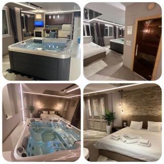 Spa Pleasure Apartman - Novi Sad - 4