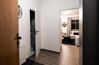 Apartment Na Skále CLOSE TO CITY CENTER & SKI LIFT - Špindlerův Mlýn - 6