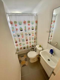 Depto equipado, Pucon, Condominio Caburgua - Pucón - 3