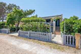 Apartments Bilic - Vir - 4