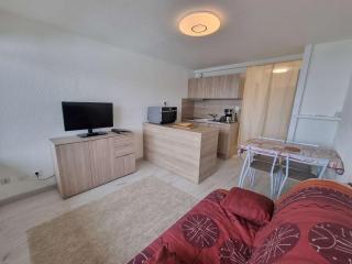 Charmant Studio Rénové 4 Pers, Balcon Sud, Proche Station - FR-1-393-156 - Saint-Michel-de-Chaillol - 9