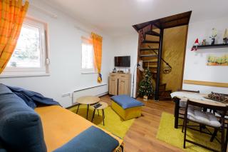 Vila Šišarka Divčibare CENTAR - Divčibare - 3