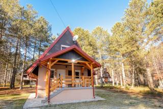 Vila Šišarka Divčibare CENTAR - Divčibare - 8
