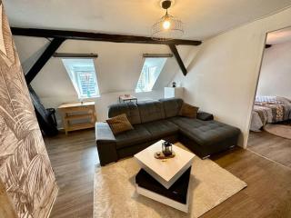Logement entier au coeur de Strasbourg - Strasburgo - 0