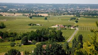 Maison Monbazillac avec piscine 2-4 pax - Monbazillac - 1