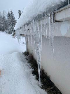 Schwarzwaldblick - 1