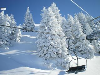 Marie Luise, Landhaus - 2