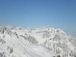 Marie Luise, Landhaus - 1