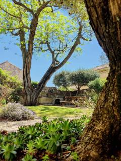 Suite privee Tavel - Le Mas de l Acacia - 8