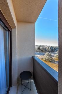 Apartman Šišarka Divčibare - Divčibare - 8