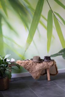 B&B Hieris't - Hoofdplaat - 5