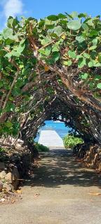 Emeraude Villas - Beach - Le François - 6