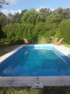 Casa Alfar - Mar del Plata - 5