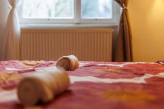 Cosy brand new Apartment - Vienne - 9