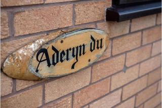 Aderyn Du - Abergele - 9