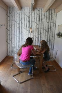 Traumferienhaus Sauerland - Schmallenberg - 1