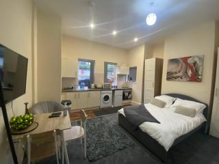 Modern studio apartment - great location! - 0