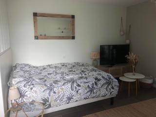 Studio à 10 minutes de l'océan - Saint-André-de-Seignanx - 5