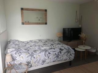 Studio à 10 minutes de l'océan - Saint-André-de-Seignanx - 4
