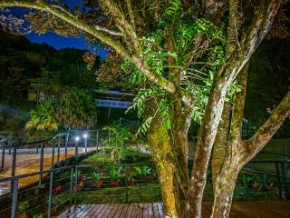 Cloud Forest Lodge - Monteverde - 5