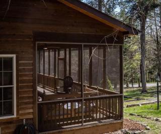 Cozy Cabin w/ Indoor Fireplace & Tranquil views - Luray - 3
