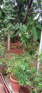 Tavaru home stay - Ankola - 4
