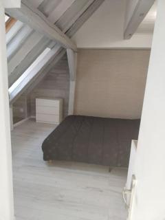 Charmant appartement cosy - Sélestat - 8