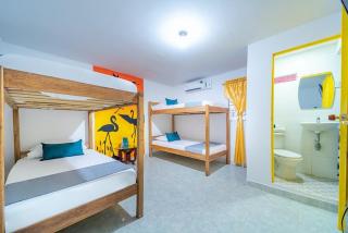 Hostal Casa Tropicalia - 9