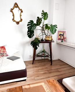 Exclusive Design Loft 60m2 whole Apartment in the center of Cracow with a view! - Krakow - 3