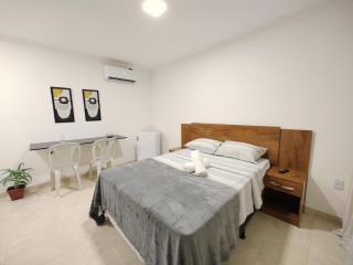 Flats Paraíso Louveny - 1