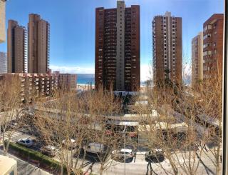 Moder Style Caballos - Benidorm - 7
