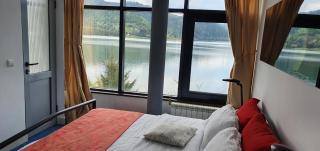 Vila Franceză - Cazare cu jacuzzi pe malul lacului Colibița - Colibiţa - 9