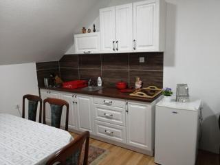 Vila Jakovljević - Jošanička Banja - 9