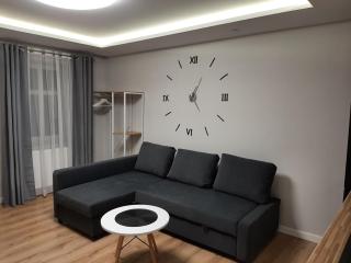 Central Platinum Apartments 14 - Rybnik - 9
