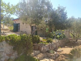 Robinson house Kata - Milna - 7